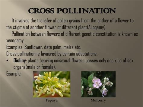 That is, bees carry pollen between male and female flowers of plants: Pollination