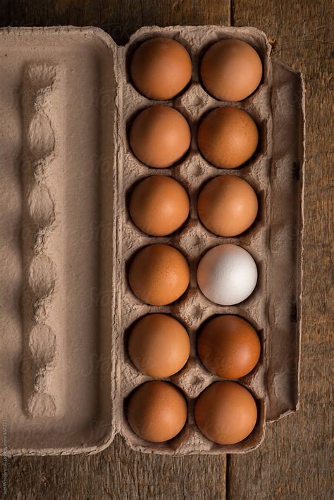 Concept Be Unique One White Egg In Carton Of Brown Eggs By Stocksy Contributor Jeff