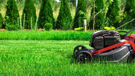 Lawn Care Questions What To Ask Before Hiring A Lawn Care Company