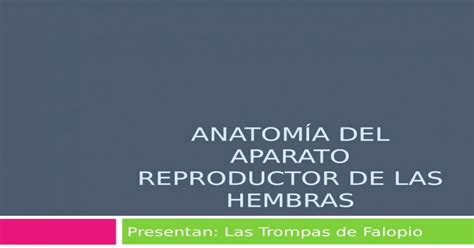 Anatomia Del Aparato Reproductor De Las Hembras Ppt Powerpoint
