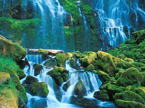 Tropical Paradise Waterfalls Wallpapers Gallery