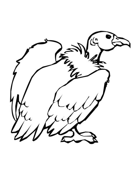 Below are some free printable vulture coloring pages. Vulture coloring pages download and print for free