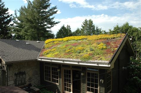 Green Roof Design Install And Maintenance · Environmental