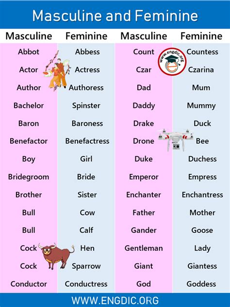 Examples Of Masculine And Feminine Gender List EngDic