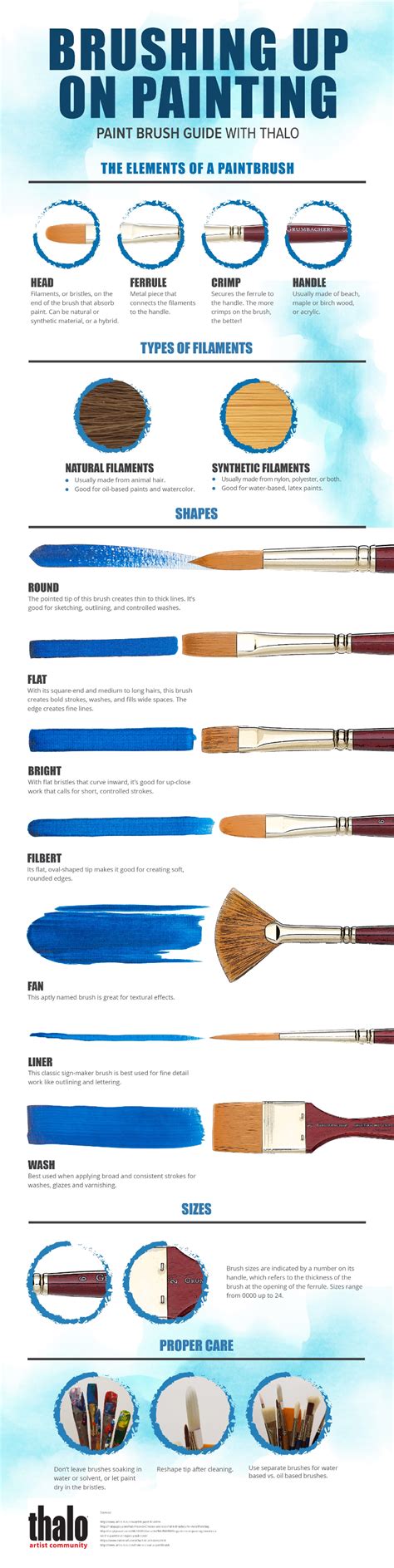 Paintbrush Anatomy Different Types Of Paintbrushes The Brush Strokes