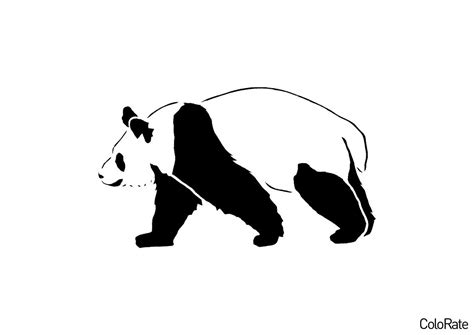 Раскраска Реалистичная панда распечатать Панды