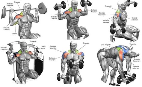 Best Shoulder Workouts For All Of You Bodydulding