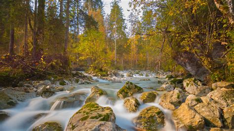 Download Wallpaper 2048x1152 River Stones Trees Branches Stream