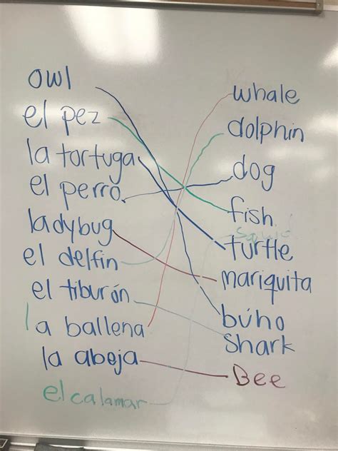 Teach Another Language To Kids Talk Davis Ca Intermediate