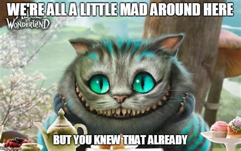 Cheshire Cat Imgflip