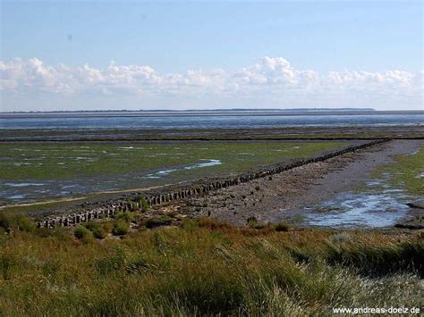 Ein frühstücksraum mit sonnenterrasse, sowie eine kostenlose sauna.hauseigene parkplätze stehen in begrenzter verfügbarkeit direkt am grundstück zur verfügung. Watt-Seite von Amrum zwischen Nebel und Norddorf