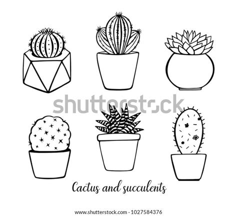 Simple Hand Drawn Cactus In Pots Cactus And Succulents Vector Set