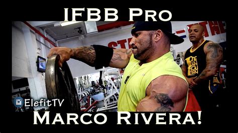 Ifbb Pro Marco Rivera Training Shoulders Star Fitness Bronx Youtube