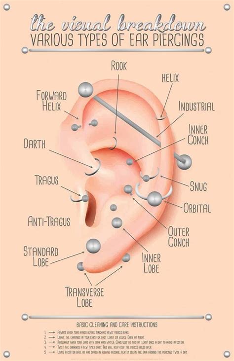 These Charts Have All The Random Knowledge You Need Ear Piercings Chart Piercing Chart Ear