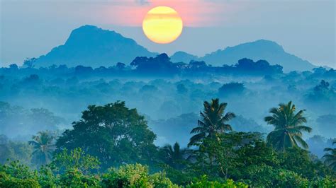 Jungle Sunrise Sri Lanka Backiee