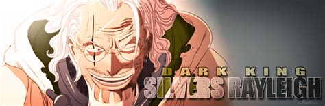 Silvers Rayleigh Facebook Cover! by OroJackson on DeviantArt