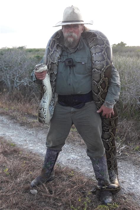Florida Veterans Fight A New Enemy Invasive Snakes In The Everglades