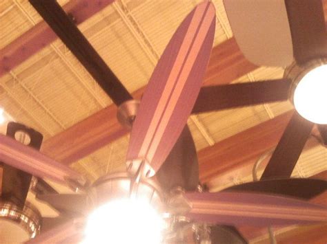 Check spelling or type a new query. surfboard fan | Surfer room, Ceiling fan, Surfboard