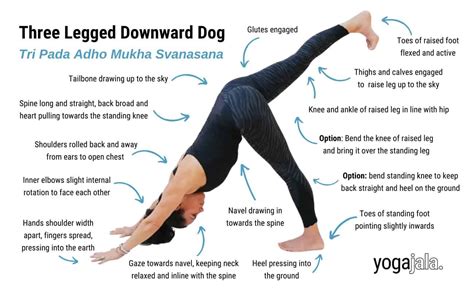 Three Legged Downward Facing Dog Pose Tri Pada Adho Mukha Svanasana