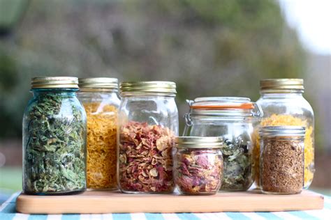 If you are cutting hydrangeas for a fresh flower arrangement, dip the stem in alum powder, found on the spice aisle. How to Dry Herbs and Flowers