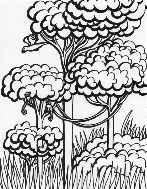 Rainforest Coloring Pages Free Color On Pages Coloring Pages For Kids