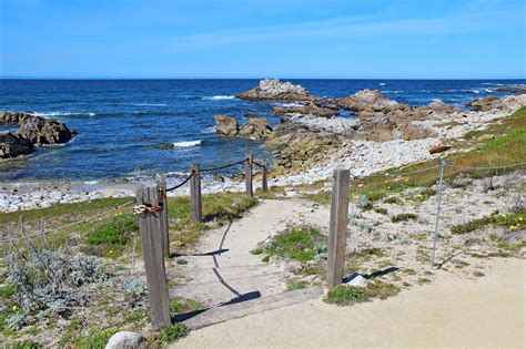 10 Best Beaches in Monterey - Which Monterey Beach is Right For You