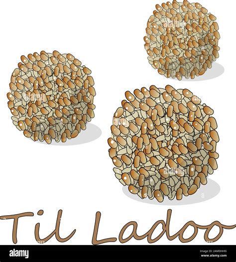 Indian Popular Sweet Til Ladoo Vector Illustration Set On White