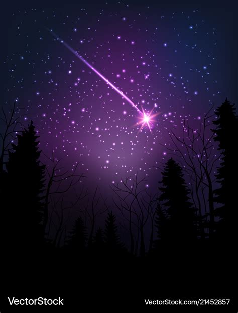 Star Falling Through Dark Night Starry Sky Above Vector Image