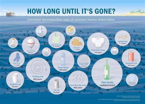 Visual How Long Until Its Gone Estimated Decomposition Rates Of