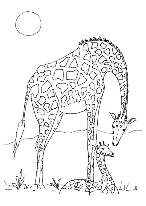 , page 1 sur 29 sur HugoLescargot.com  Giraffe coloring pages, Animal