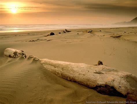 Golden Sunset Sands Sand Nature Sun Beaches Hd Wallpaper Peakpx