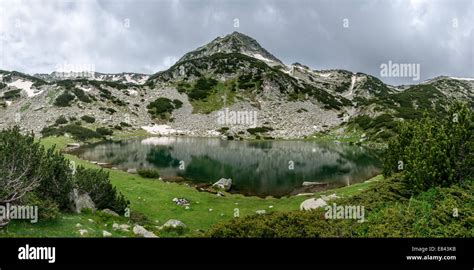 Pirin National Park Pirin Mountains Bulgaria Stock Photo Alamy