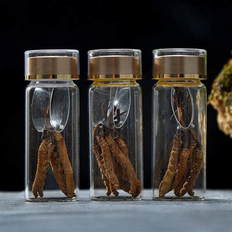 Orally, dong chong xia cao / cordyceps is used for strengthening the immune system, for reducing the effects of aging, promoting longevity. China Dong Chong Xia Cao Tibet Nagqu Cordyceps Sinensis ...