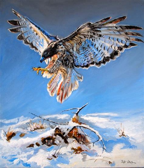 Hawk By Dreamnr9 On Deviantart Bird Art Art Artist