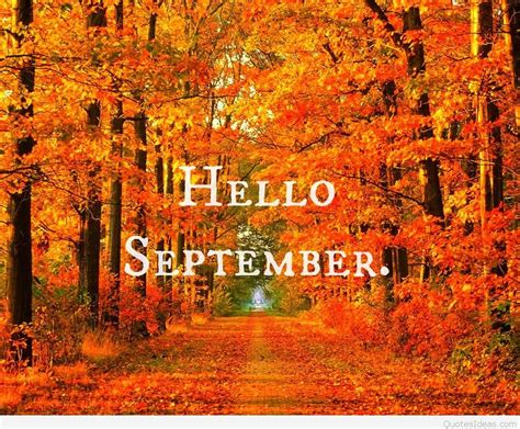 These templates are very colorful and attractive designs. Hello September images and photos sayings & quotes