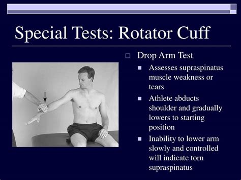 Ppt Chapter 22 The Shoulder Complex Powerpoint Presentation Free