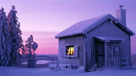 Winter Season Snow Trees Sweden Moonlight Cabin Wallpaper 2560x1440