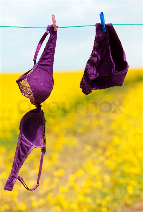 Purple Lingerie Drying On Clothesline Stock Image Colourbox