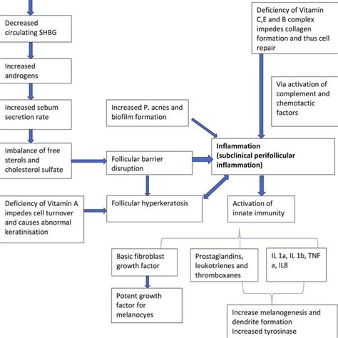 Pathogenesis Of Post Inflammatory Hyperpigmentation Download