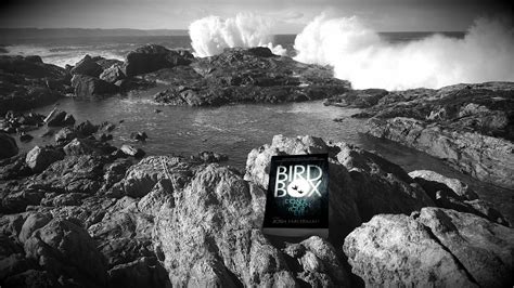 The film stars sandra bullock in the lead role with a supporting cast that includes john malkovich, sarah paulson, trevante rhodes, and rapper machine gun kelly. but books are better: Book Review: BIRD BOX by Josh Malerman