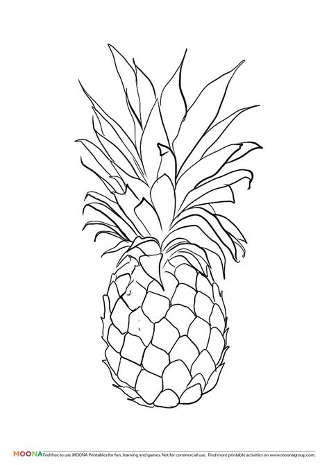 Pineapple Free Coloring Pages