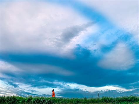 Edo River / 江戸川 | Bizarre Journeys/Burcu Basar