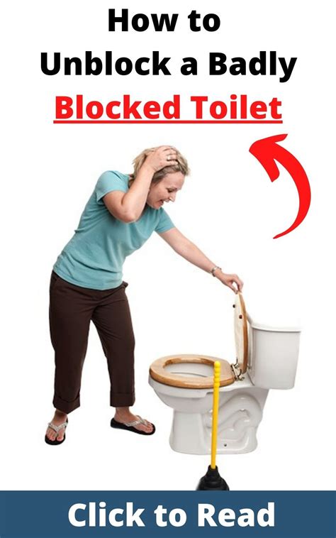 How To Clear A Clogged Toilet Fast Howtoremvo