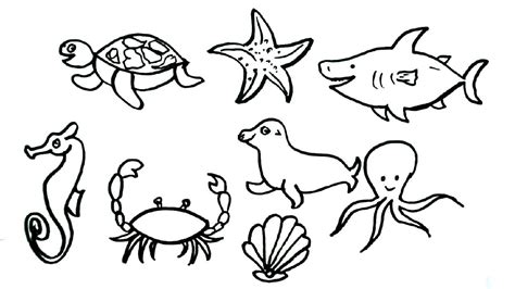 Sea Animals Drawing Easy Easy Step By Step Drawing Of Sea Animals For