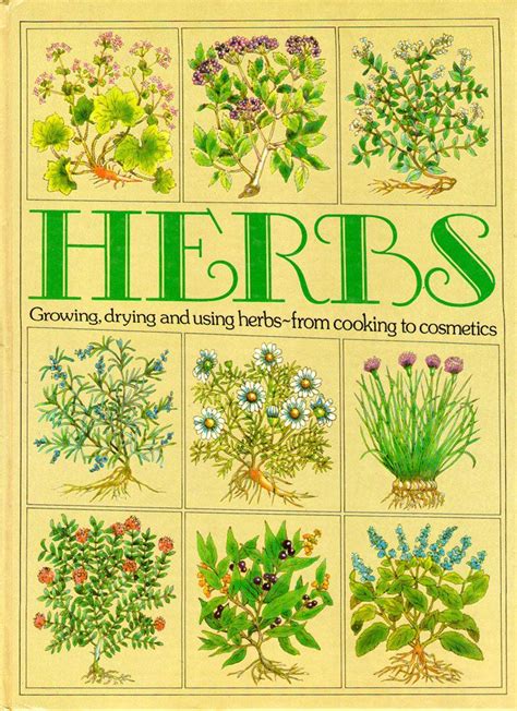 Vintage Herbs Book Illustrated Cooking Growing Medicinal Etsy