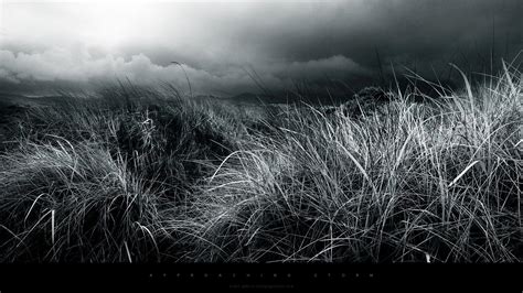 Black Nature Wallpapers - Wallpaper Cave