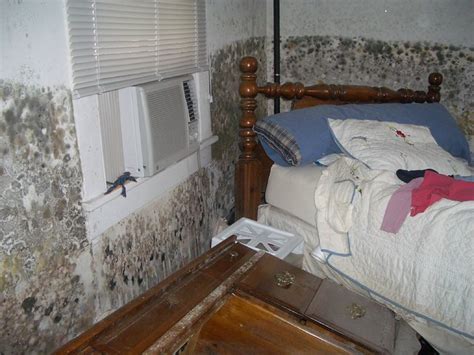 Do you know what black mold symptoms feel like and what are the black mold side effects? Mold growth in my bedroom | Flickr - Photo Sharing!
