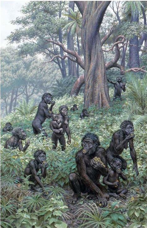 Australopithecus Africanus By Jay H Matternes Ancient Humans