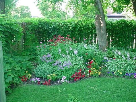 Here are all of the perennials we offer for hardiness zone 7: Pin by Isabelle Morin on Garden and yard | Pinterest