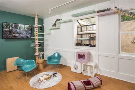 Join facebook to connect with tamara fountain and others you may know. Daily Mews Cat Cafe :: Charlotte, NC • hauspanther